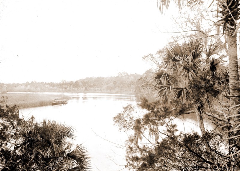 On the Tomoka, Jackson, William Henry, 1843-1942, Rivers, United States, Florida, Tomoka River, 1880