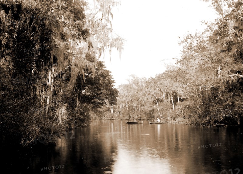 On the Tomoka, Florida, Jackson, William Henry, 1843-1942, Rivers, United States, Florida, Tomoka River, 1880