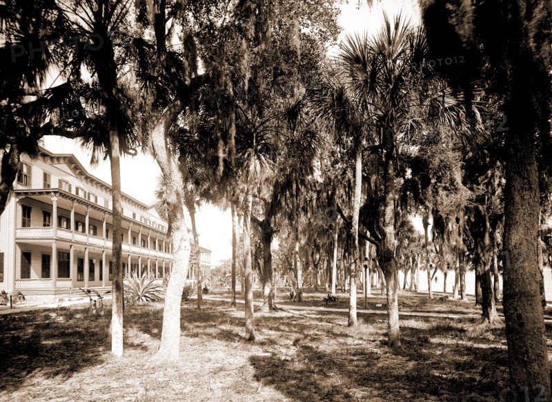Hotel Rockledge, Indian River, Jackson, William Henry, 1843-1942, Hotel Rockledge (Fla.), Hotels, Palms, Bays, United States, Florida, Indian River, 1880