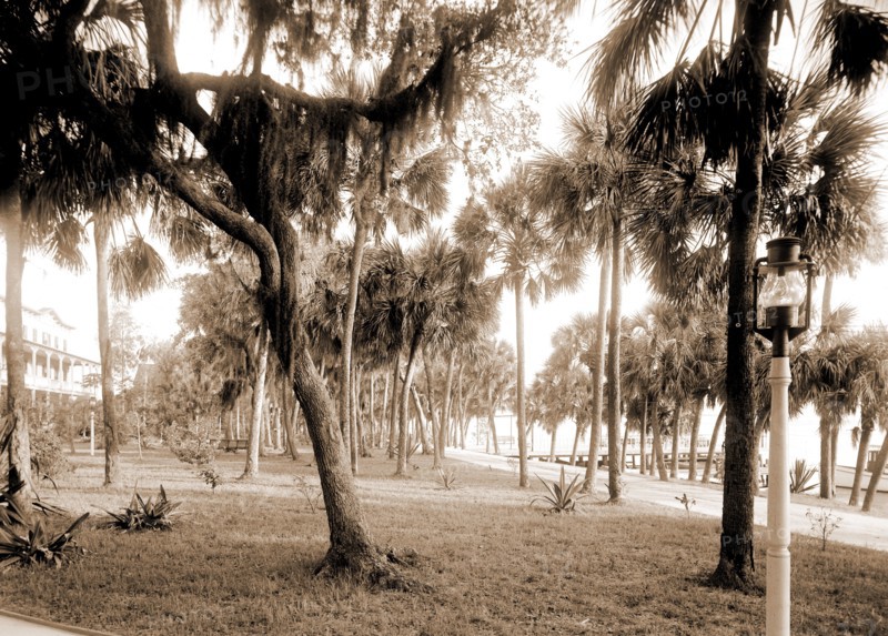 Hotel Rockledge, Jackson, William Henry, 1843-1942, Hotel Rockledge (Fla.), Hotels, Palms, Bays, United States, Florida, Indian River, 1880