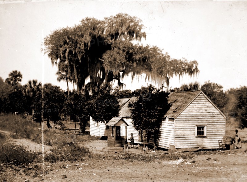Negro cabin and oaks, Florida, Jackson, William Henry, 1843-1942, Dwellings, African Americans, Trees, Bays, United States, Florida, Indian River, 1880