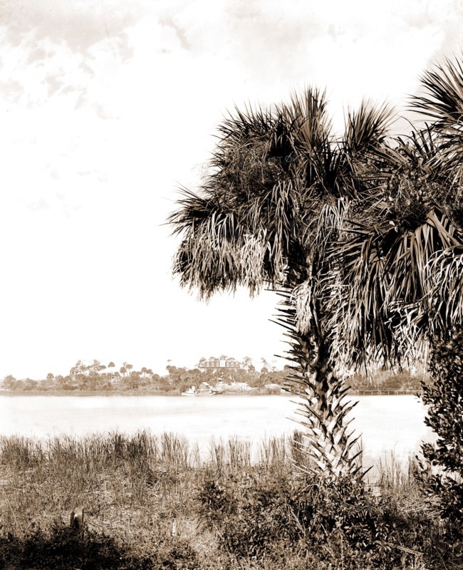 Landing at Eau Gallie, The, Jackson, William Henry, 1843-1942, Palms, Waterfronts, Bays, United States, Florida, Indian River, United States, Florida, Eau Gallie, 1880