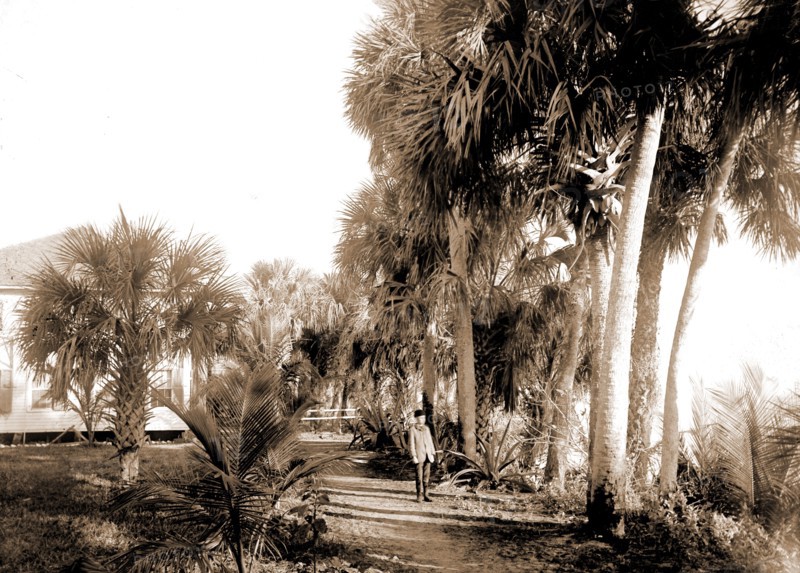 Hotel at Eden, Indian River, Jackson, William Henry, 1843-1942, Hotels, Bays, United States, Florida, Indian River, United States, Florida, Eden, 1880