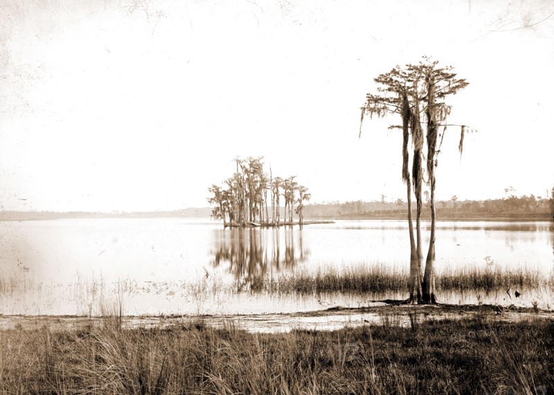 Lake Louise near Seville, Fla, Jackson, William Henry, 1843-1942, Lakes & ponds, United States, Florida, Louise, Lake, United States, Florida, Seville, 1880