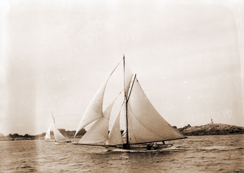 Shark, Shark (Yacht), Yachts, 1890