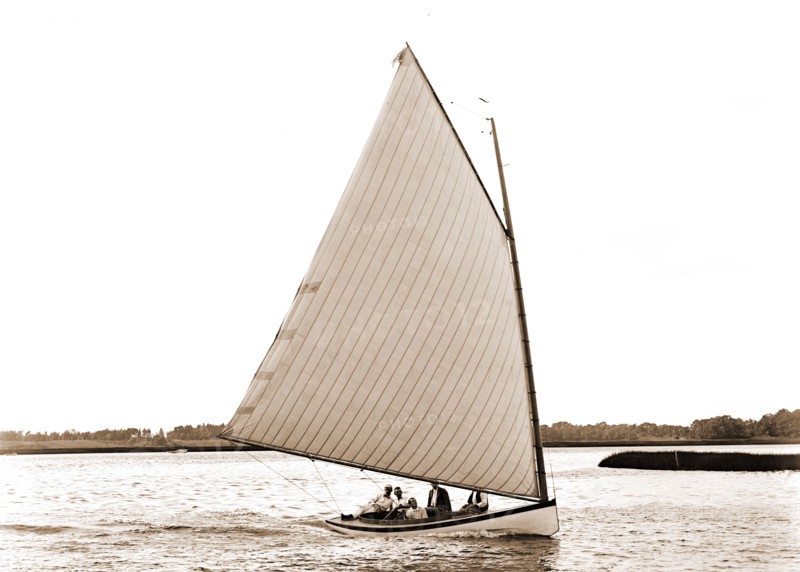 Primrose, Primrose (Yacht), Yachts, 1880