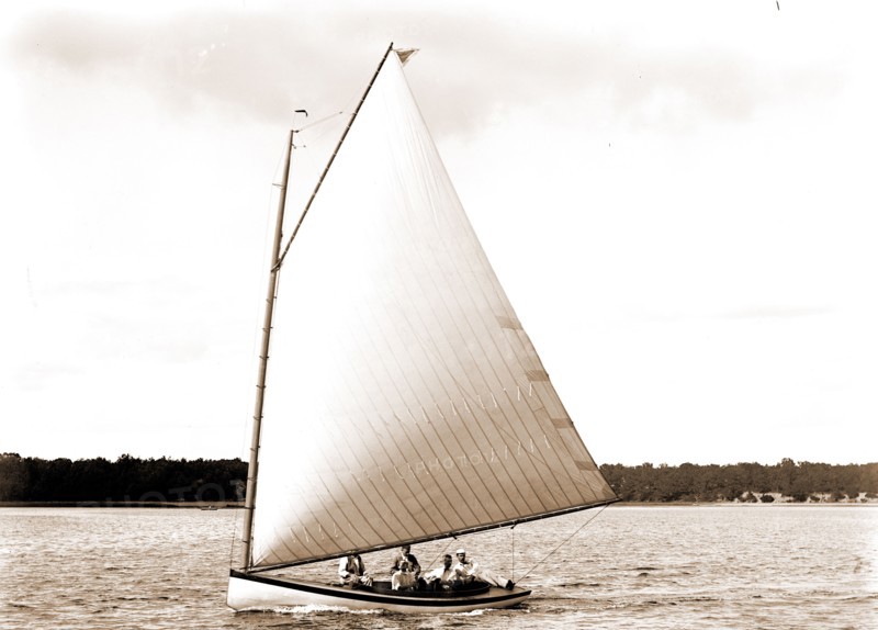 Primrose, Primrose (Yacht), Yachts, 1880