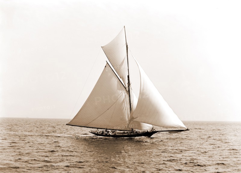 Gorilla, Gorilla (Yacht), Yachts, 1889