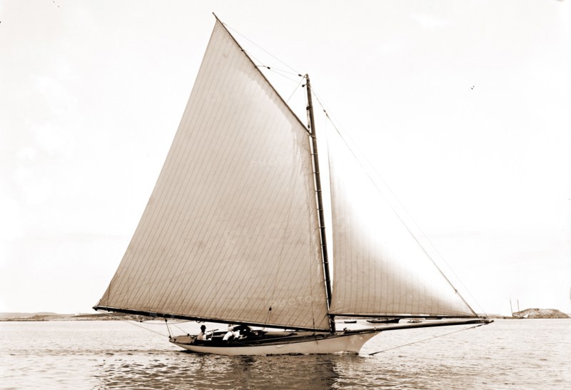 Hornet, Hornet (Yacht), Yachts, 1891