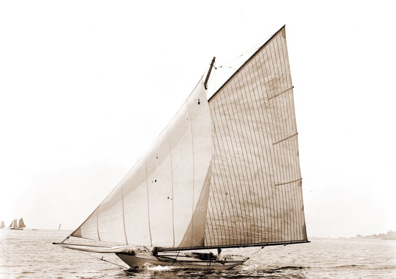 Tadpole, Tadpole (Yacht), Yachts, 1892