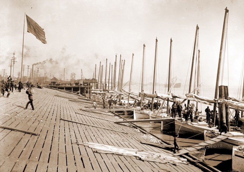 Oyster luggers at the levee, New Orleans, Boats, Levees, Shellfish industry, Oysters, United States, Louisiana, New Orleans, 1901