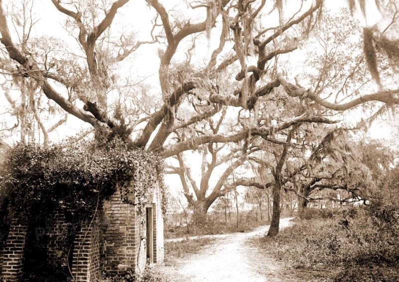 Chicora Park, Charleston, S.C, Parks, United States, South Carolina, Charleston, 1890