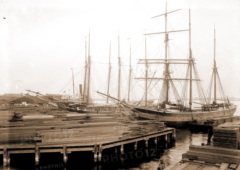 Lumber wharfs, St. John's River, Jacksonville, Fla, Lumber industry, Piers & wharves, Rivers, Ships, United States, Florida, Saint John's River, United States, Florida, Jacksonville, 1890