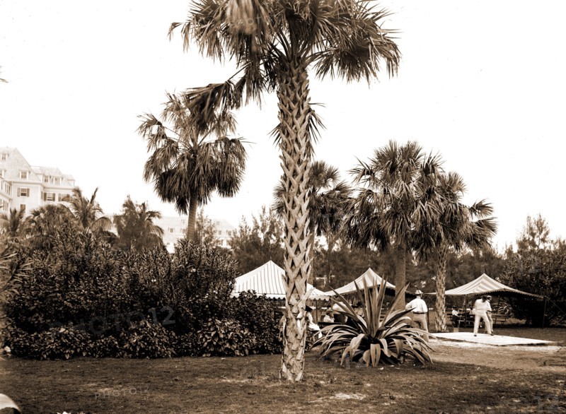 Golf links, Hotel Royal Poinciana, Palm Beach, Fla, Hotels, Golf, Resorts, United States, Florida, Palm Beach, 1900