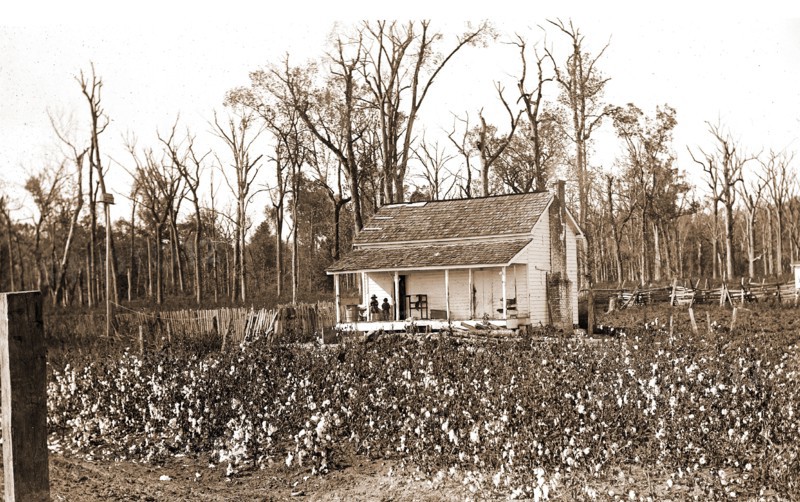 Home of the cotton picker, Jackson, William Henry, 1843-1942, Cotton, Labor housing, Dwellings, 1880