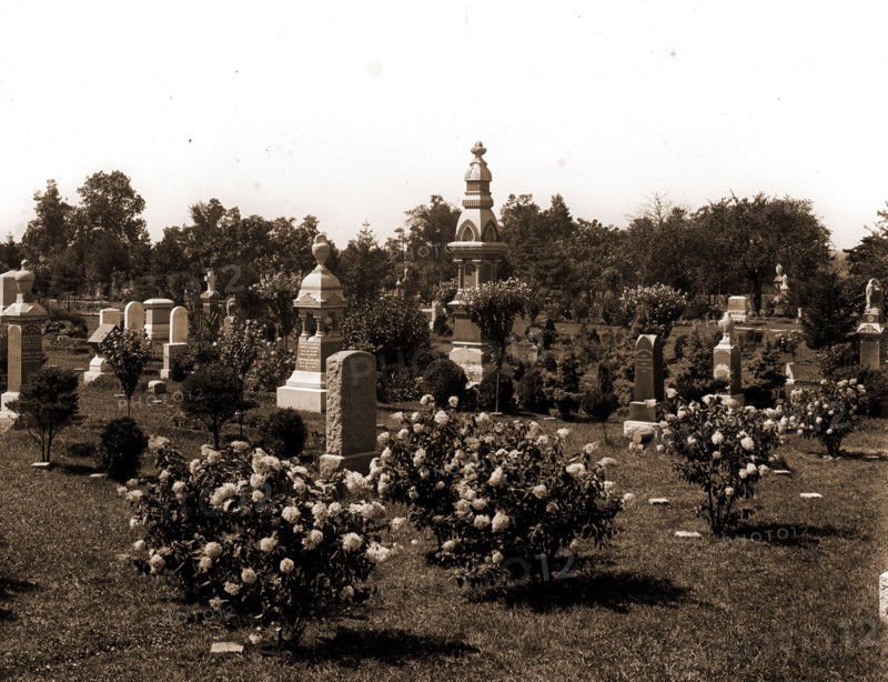 Cemetery, Cemeteries, Tombs & sepulchral monuments, 1904