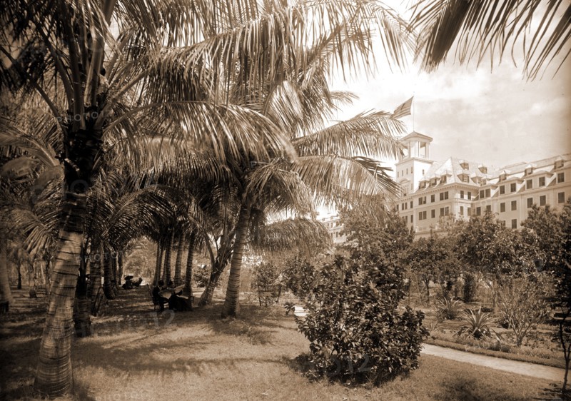 Hotel Royal Poinciana, Lake Worth, Jackson, William Henry, 1843-1942, Resorts, Hotels, Palms, Lakes & ponds, United States, Florida, Worth, Lake, 1894