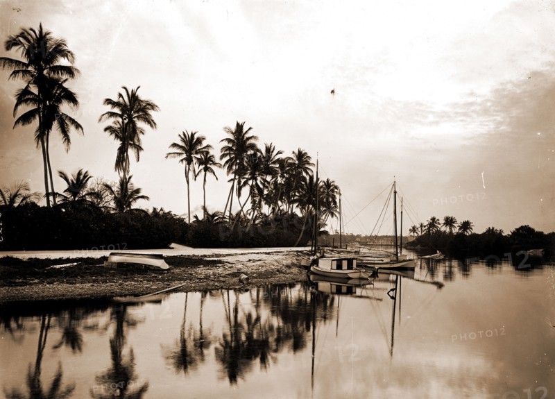 Miami River evening, Waterfronts, Palms, Sunrises & sunsets, United States, Florida, Miami River, United States, Florida, Miami, 1901