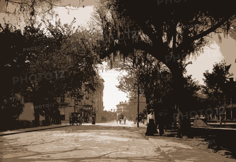 King Street, St. Augustine, Jackson, William Henry, 1843-1942, Streets, United States, Florida, Saint Augustine, 1902