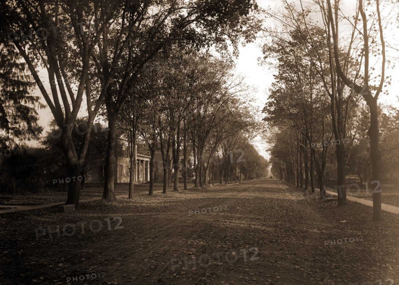 Elizabeth Street, Dansville, N.Y, Residential streets, United States, New York (State), Dansville, 1890