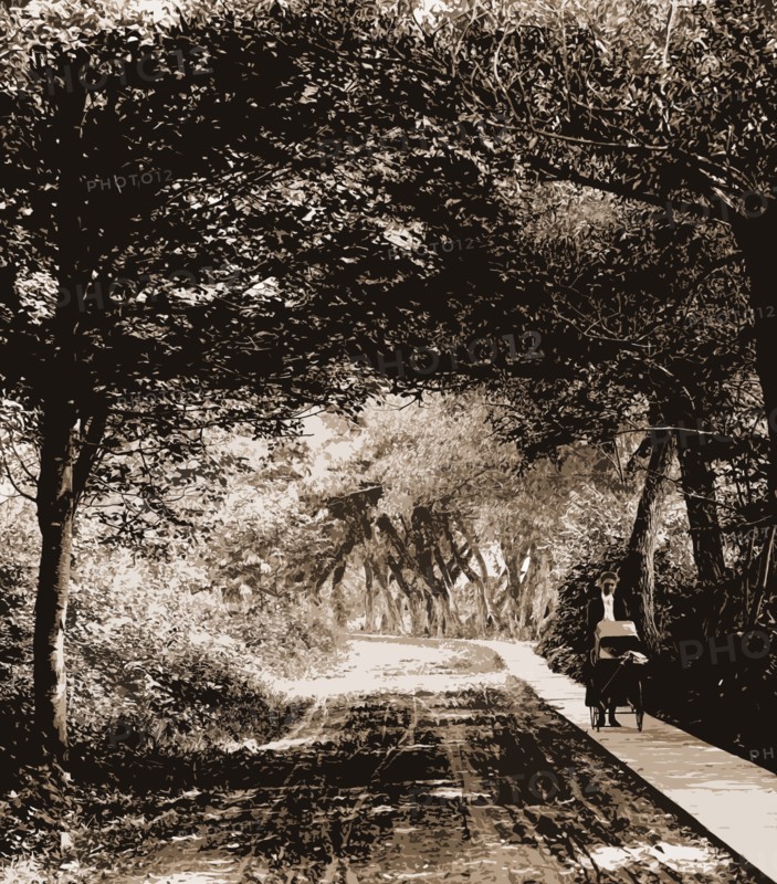Under the willows, Rye Beach, N.H, Willows, Roads, Walkways, United States, New Hampshire, Rye Beach, 1904