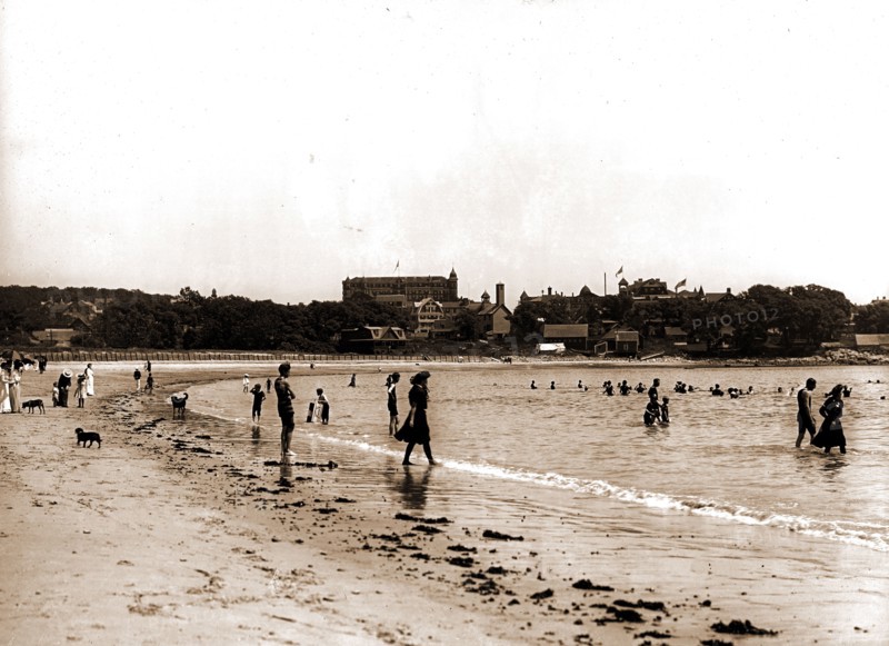 The Bathing beach, Magnolia, Mass, Beaches, United States, Massachusetts, Gloucester, 1904