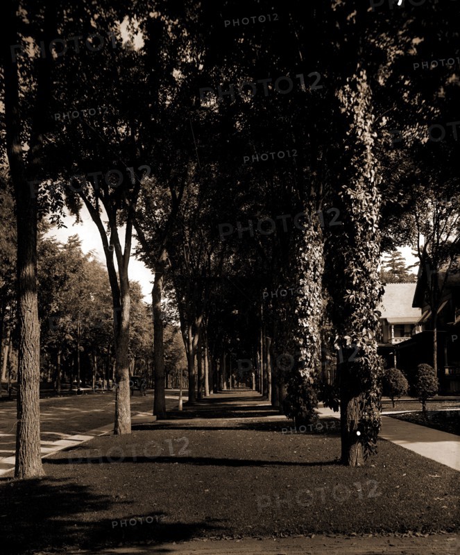 North Broadway, Saratoga, N.Y, Streets, United States, New York (State), Saratoga Springs, 1904