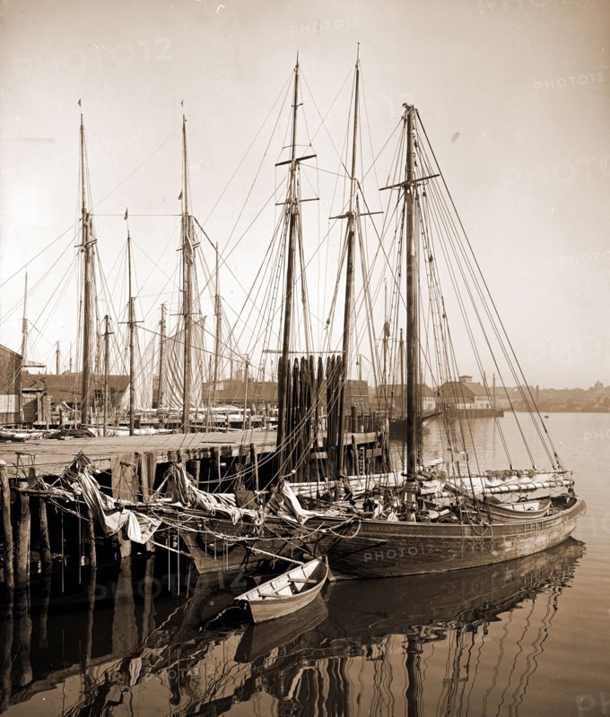 Along the wharves, Gloucester, Mass, Boats, Fishing industry, Piers & wharves, United States, Massachusetts, Gloucester, 1905