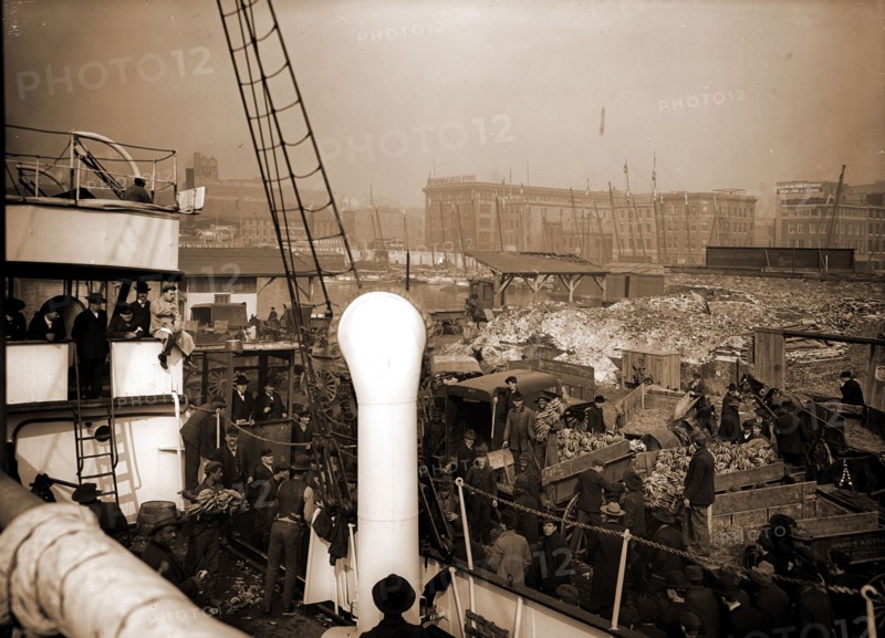 Baltimore, Maryland, unloading banana steamer, Harbors, Bananas, Ships, Shipping, United States, Maryland, Baltimore, 1890