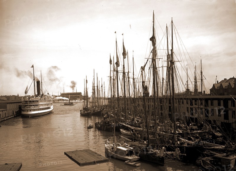 Schooners at "T" wharf, Boston, Mass, Piers & wharves, Boats, Steamboats, United States, Massachusetts, Boston, 1905