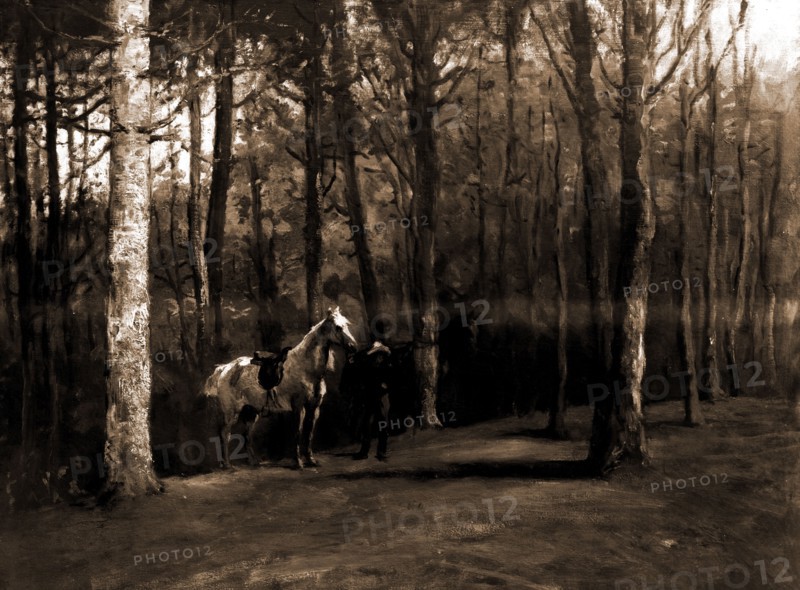 Pine woods, Magnolia, Mass, Forests, Horses, United States, Massachusetts, Gloucester, 1900