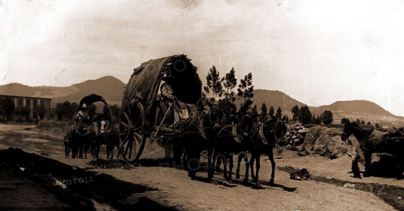 Returning from market, Amecameca, Covered wagons, Roads, Mexico, Amecameca de Juarez, 1880