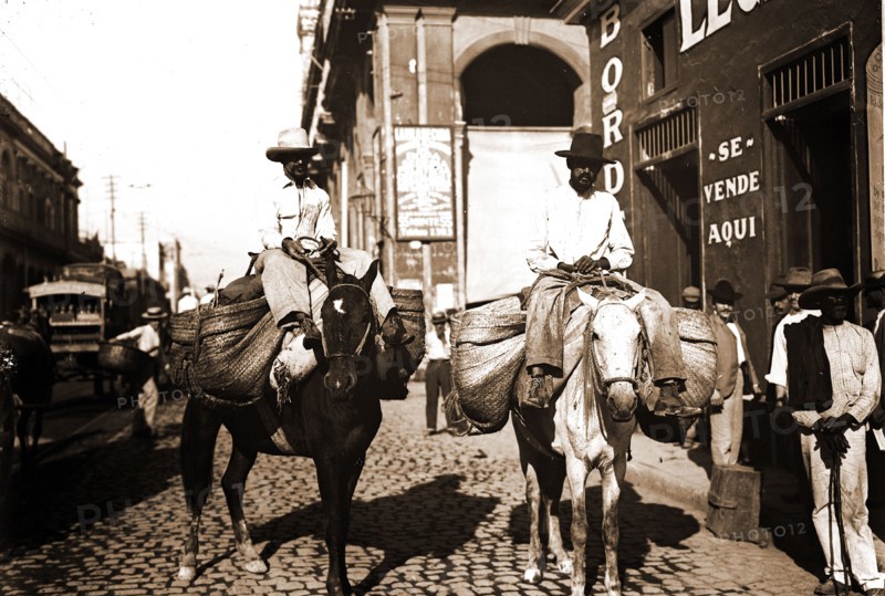 Vegetable men, Food vendors, Mules, Vegetables, Streets, Cuba, Havana, 1900