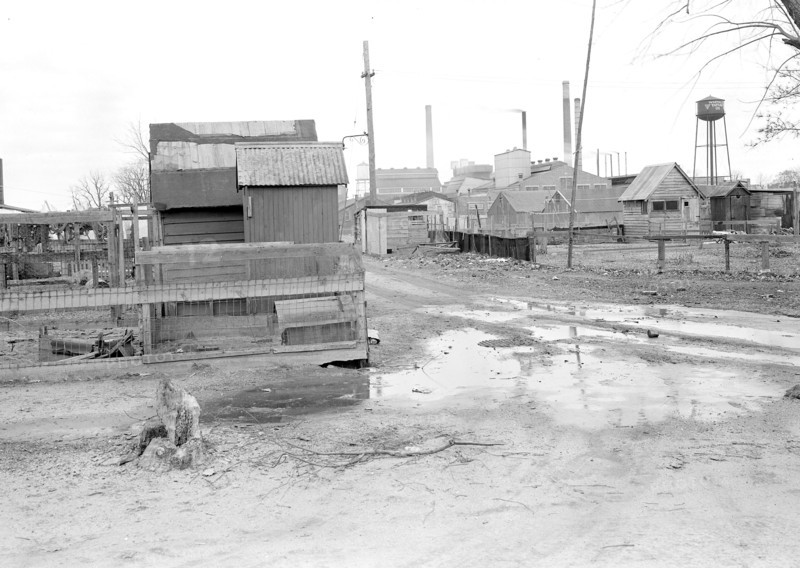 Millville, New Jersey - Scenes. A view of Whitall Tatum Company houses. Yards looking from Myrtle St. to upper Whitall Tatum plant. Emphasis on lack of sanitation and poor road facilities, 1936, Lewis Hine, 1874 - 1940, was an American photographer, who used his camera as a tool for social reform. US,USA
