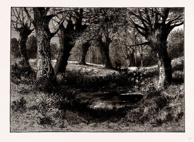 AMBRESBURY BANKS, UK, engraving 1881 - 1884