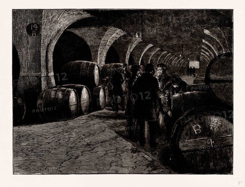 VAULTS AT THE DOCKS, Isles of Dogs, London, UK, engraving 1881 - 1884