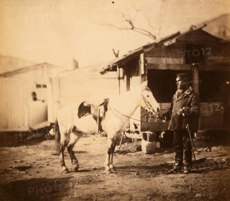 Major Chapman, 20th Regiment, Crimean War, 1853-1856, Roger Fenton historic war campaign photo