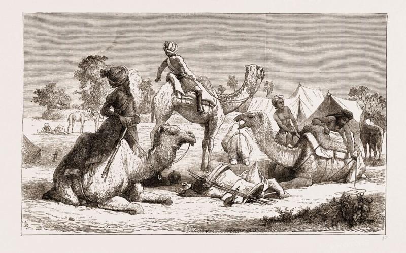 INDIA, CAMEL RIDERS OF A NATIVE CAVALRY REGIMENT PREPARING FOR A MARCH, 1876