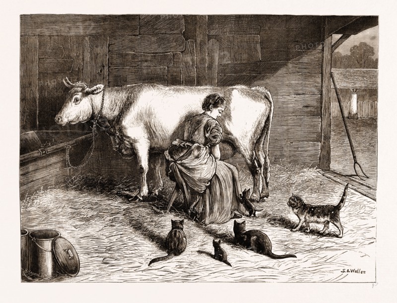 "LADIES IN WAITING" FROM THE PAINTING BY S.E. WALLER EXHIBITED IN THE DUDLEY GALLERY, UK, 1876