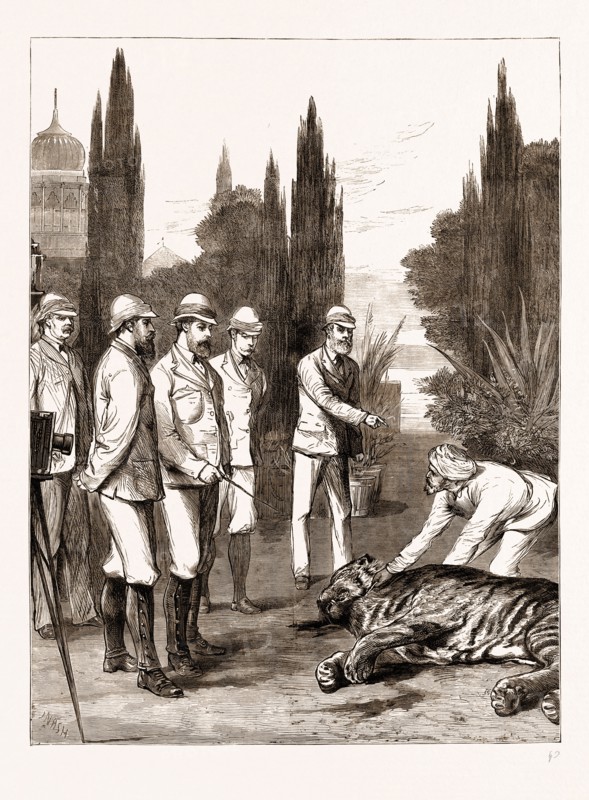 THE PRINCE OF WALES'S FIRST TIGER: JEYPORE, INDIA, 1876