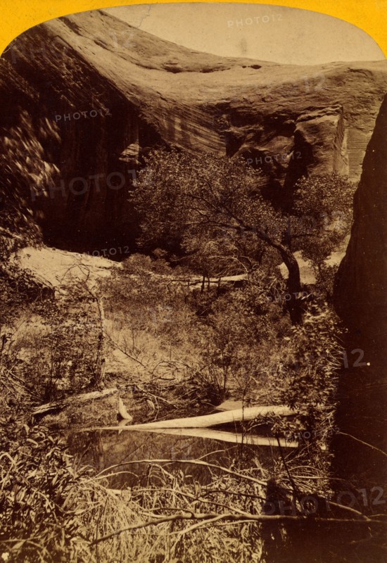 Spring in glen, Vintage photography