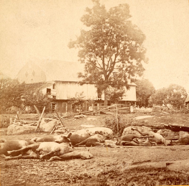 View at Losser's (i.e. Trostle's) barn, where the 9th Massachusetts Battery was cut up, USA, US, Vintage photography