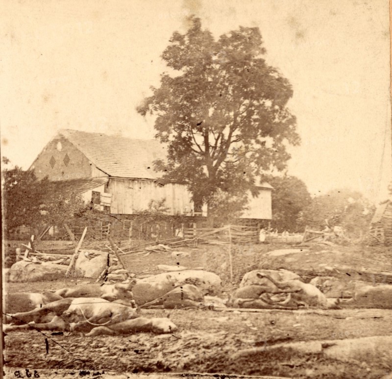 In Trossel's barnyard, Gettysburg, USA, US, Vintage photography