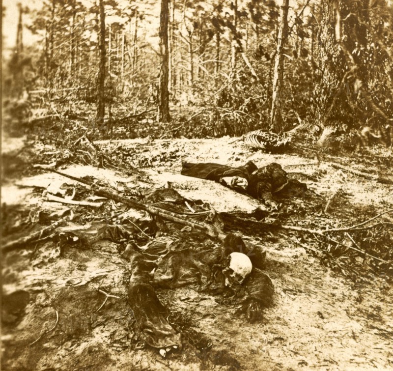 These died, that our Nation might live. We were driven from this field (Wilderness) before we could gather our wounded or bury our dead. This is the way we found the field covered when we returned some months later, US, USA, America, Vintage photography