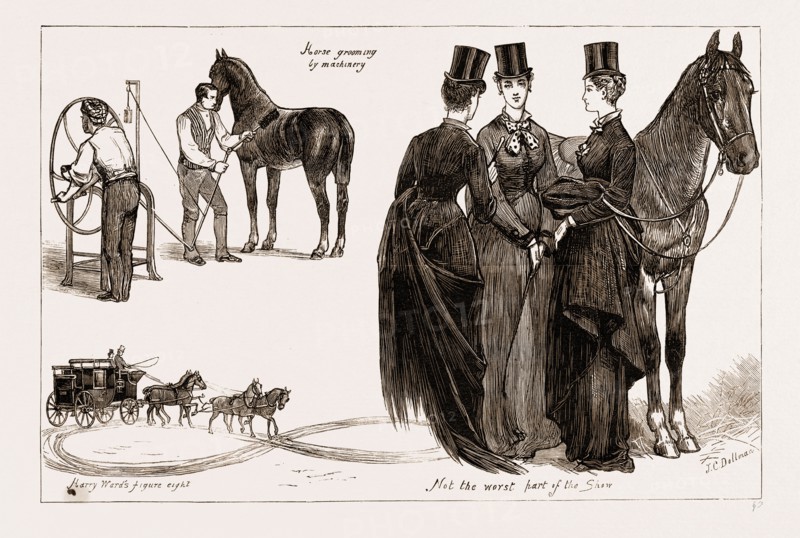 THE HORSE SHOW AT THE AGRICULTURAL HALL, ISLINGTON, LONDON, UK, 1876