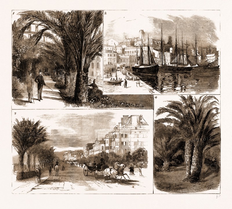 THE VISIT OF THE PRINCE OF WALES TO CANNES AND NICE, FRANCE, 1883: 1. In the Garden of the Hotel du Pavillon, Cannes, where the Prince of Wales is Staying. 2. The Harbour, Cannes. 3. Promenade des Anglais, Nice. 4. Palm Tree in the Garden of the ChÃ¢teau Vallombrosa, Cannes.