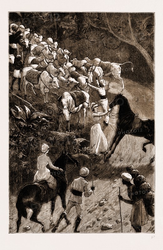 LIFE IN SOUTHERN INDIA, 1883: "MORE LIVELY THAN PLEASANT"
