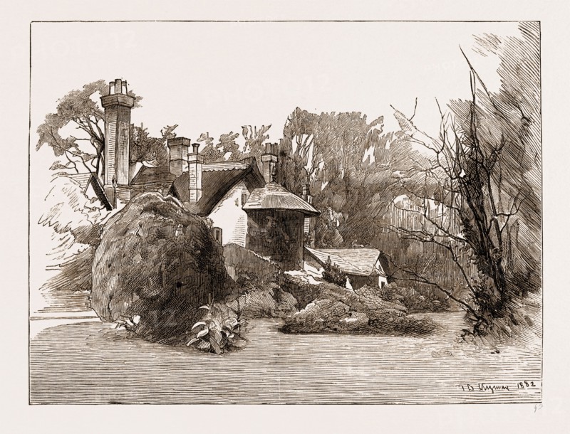A SKETCH IN PROFESSOR OWEN'S GARDEN AT SHEEN, NEAR RICHMOND, LONDON, UK, 1883