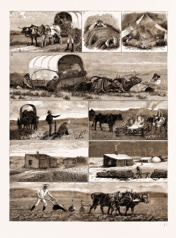 SCENES FROM AN EMIGRANT'S LIFE IN MANITOBA, CANADA, 1883: 1. Emigrants on the Way to their Allotment. 2. A "Muggy" Night. 3. "Smudging" Mosquitoes. 4. In a Slough. 5. Arrival at the Camping Ground. 6. Oxen Seeking Protection from Mosquitoes at a "Smudge." 7. The Log House in Summer. 8. The Log House in Winter. 9. Breaking Up the Land.