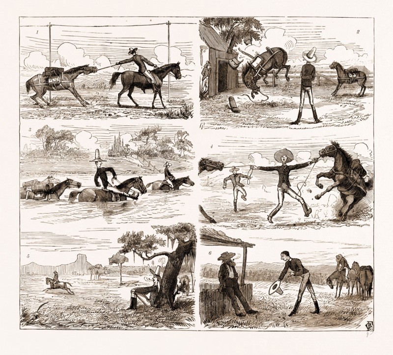 AN OVERLAND JOURNEY FROM QUEENSLAND TO SYDNEY WITH A NEW CHUM, AUSTRALIA, 1883: 1. The New Chum's Pack-Horse Declines to be Led. 2. And then Disposes of His Pack. 3. Crossing tte Macintyre : Hold Your Legs Up Like Mine." 4. An Awkward Predicament. 5. Scouting to Find the Track Lost in Coming over the "Blue Nobbie Run." 6. Astonishing the Bushman: "Kindly Inform Me if this is the Way to Warroo."